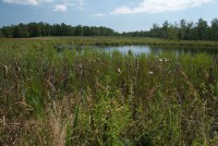 /album/fotogalerie-frantiskovy-lazne-centrum-relaxace-a-zdravi/soos-frantiskovy-lazne-jpg/